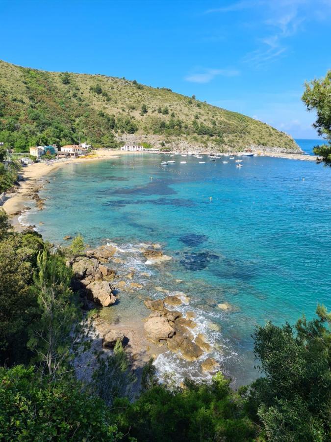 Bed & Breakfast La Marinella Palinuro